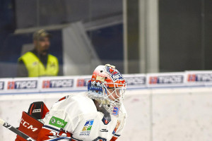 dsc_1016 kopie.jpg